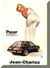 pacerad800.jpg (45591 bytes)