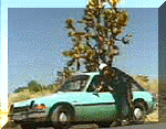 pacercop.gif (22287 bytes)